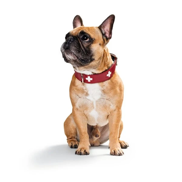 Hunter Halsband Swiss Nickel Rot/Schwarz – Bild 3