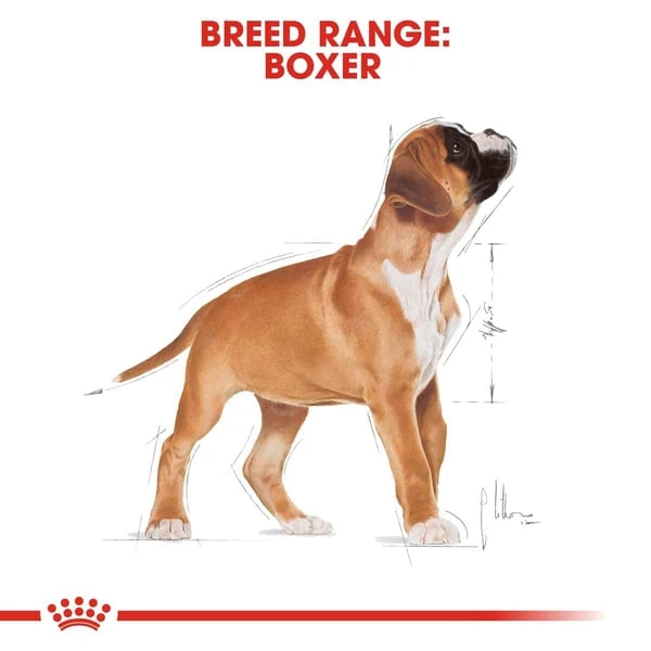 ROYAL CANIN Boxer Puppy Welpenfutter Trocken – Bild 7