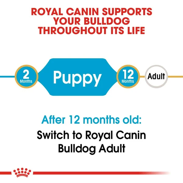 ROYAL CANIN Bulldog Puppy Welpenfutter Trocken – Bild 2
