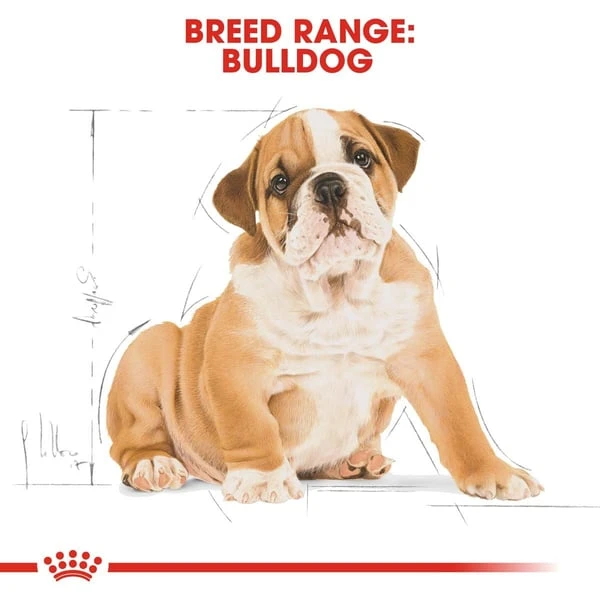 ROYAL CANIN Bulldog Puppy Welpenfutter Trocken – Bild 7