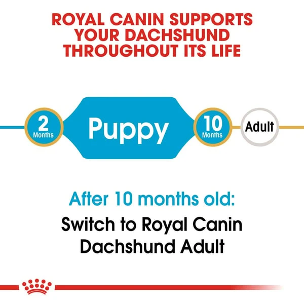 ROYAL CANIN Dachshund Puppy Welpenfutter Trocken Für Dackel 1,5kg – Bild 2