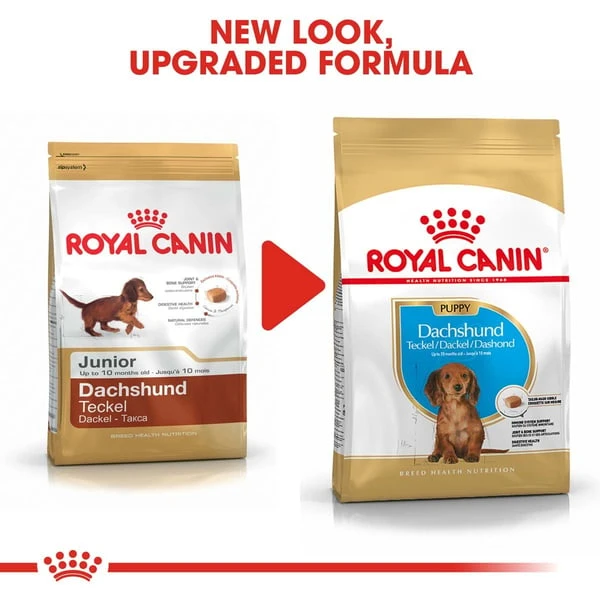 ROYAL CANIN Dachshund Puppy Welpenfutter Trocken Für Dackel 1,5kg – Bild 6