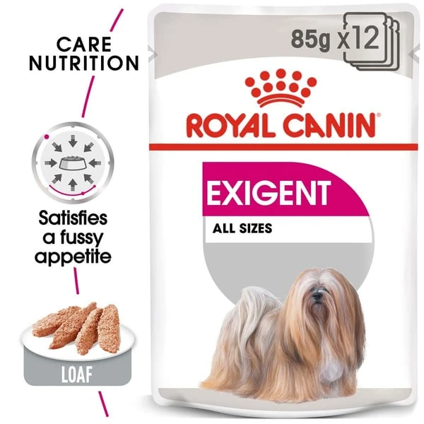 ROYAL CANIN EXIGENT Nassfutter Für Wählerische Hunde 12x85g