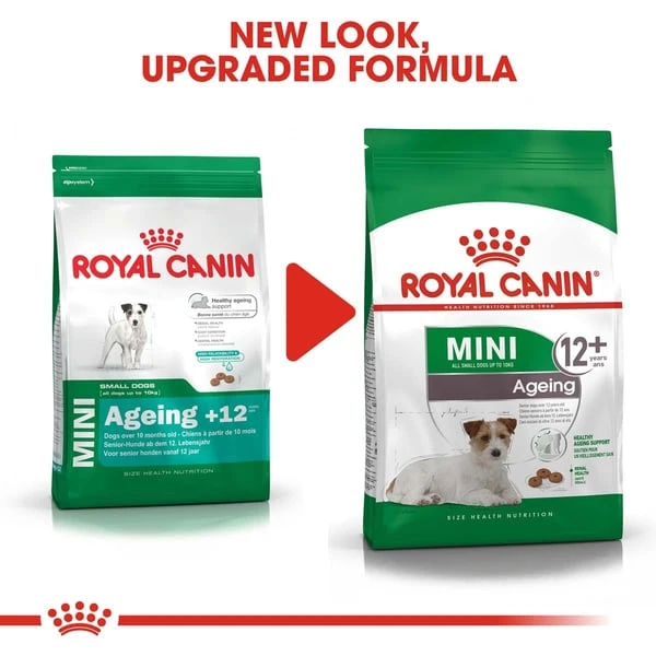 ROYAL CANIN MINI Ageing 12+ Trockenfutter Für ältere Kleine Hunde – Bild 7