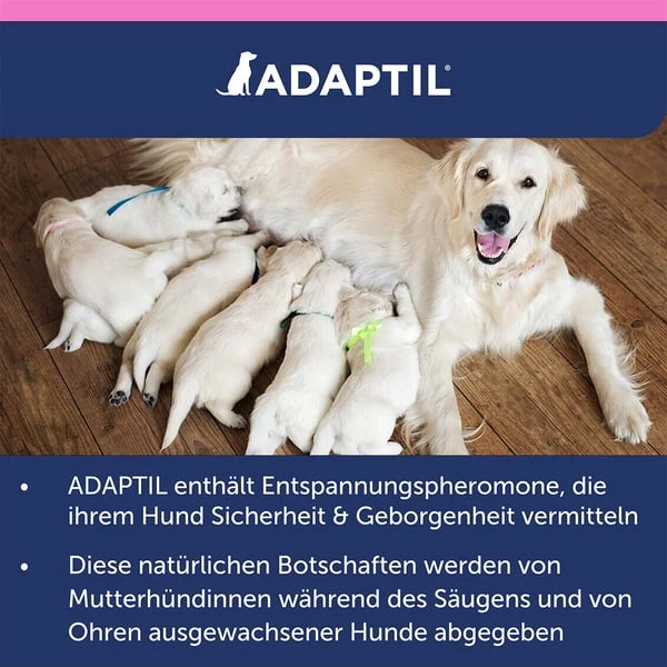 Adaptil Junior Halsband – Bild 10
