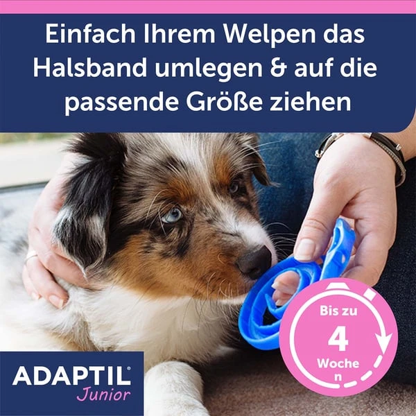Adaptil Junior Halsband – Bild 4