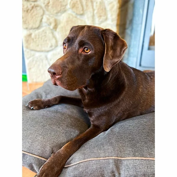 Aumüller Hundebett Basic Rechteckig 58 Cm – Bild 6