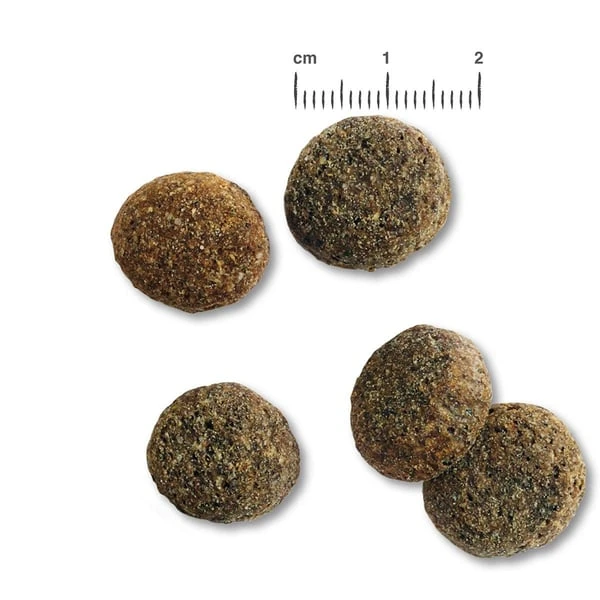 Belcando Senior – Bild 4