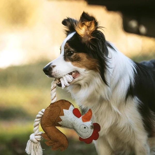 DUVO+ Farm Friends Ruby Rooster 37cm – Bild 3