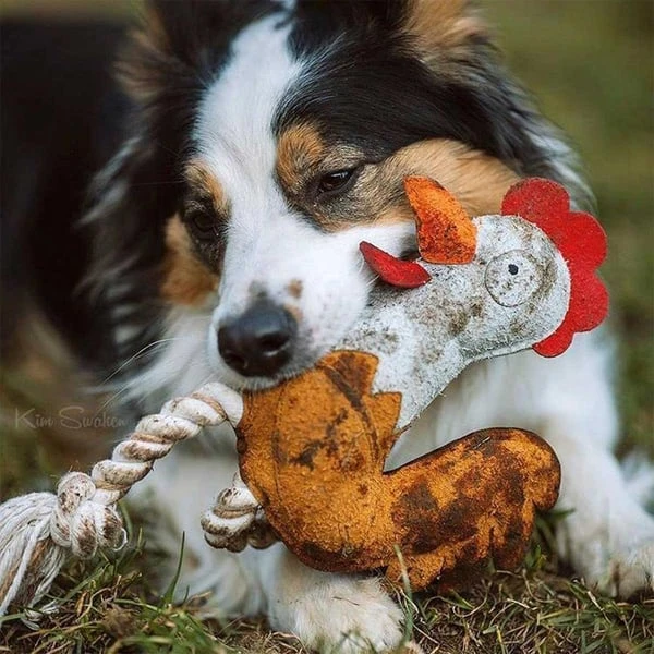 DUVO+ Farm Friends Ruby Rooster 37cm – Bild 4