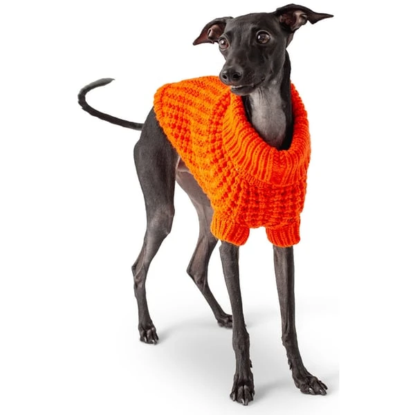 GF Pet Scout Sweater Orange