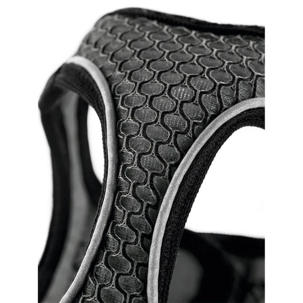 Hunter Geschirr Hilo Comfort Anthrazit – Bild 3