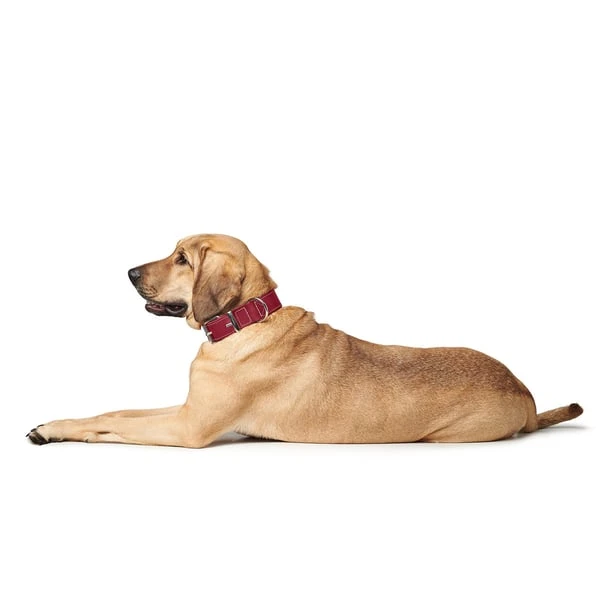 Hunter Halsband Aalborg Special Cognac – Bild 6