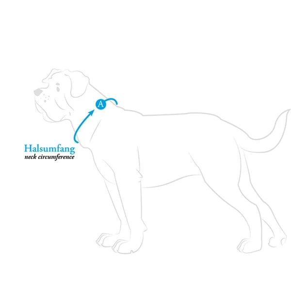 Hunter Halsband Aalborg Schwarz – Bild 6