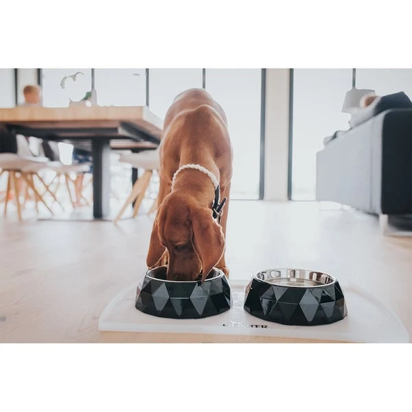 Hunter Napfunterlage Selection Transparent – Bild 3