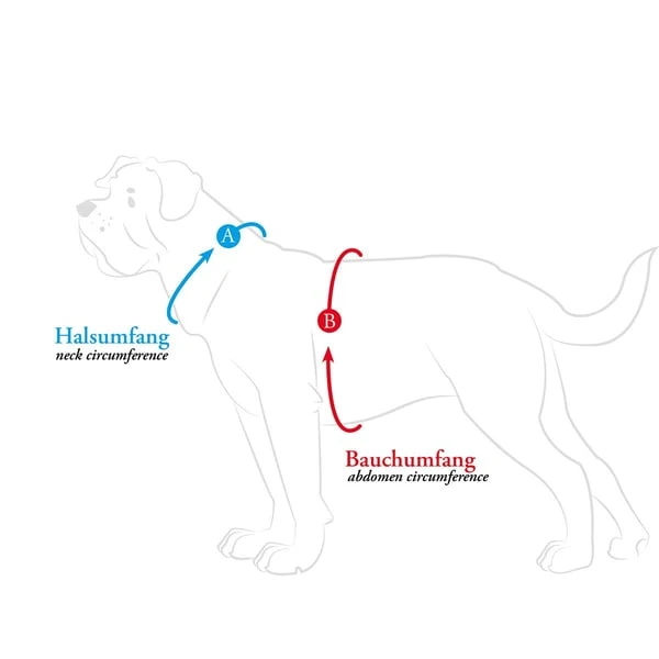 Hunter Geschirr Hilo Comfort Braun – Bild 4