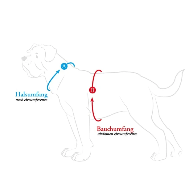 Hunter Geschirr Hilo Comfort Anthrazit – Bild 4