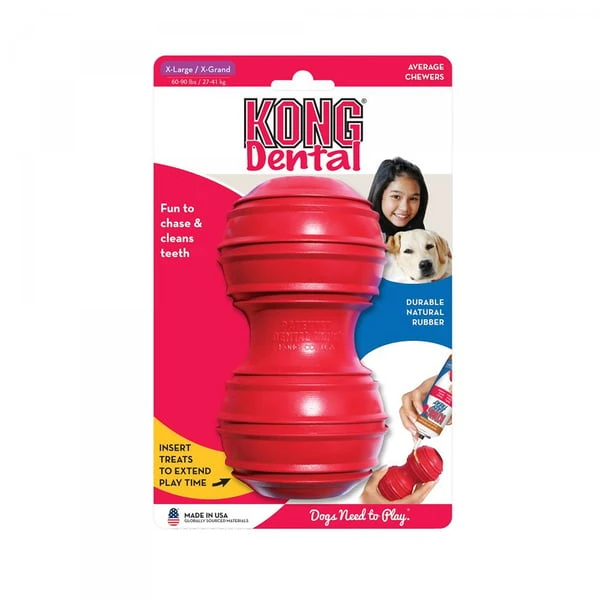 KONG Dental – Bild 2