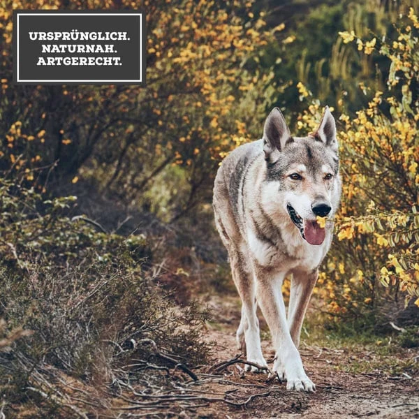 MOON Ranger Huhn Mit Kartoffeln – Bild 4