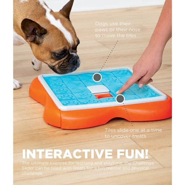 Nina Ottosson Challenge Slider Intelligenzspielzeug – Bild 2