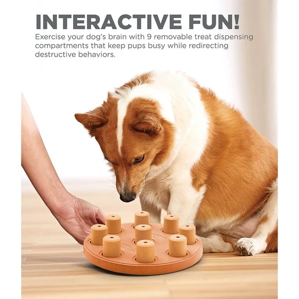 Nina Ottosson Dog Smart - Composite Intelligenzspielzeug – Bild 4