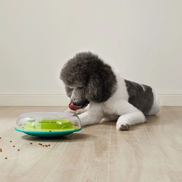 Nina Ottosson Wobble Bowl Intelligenzspielzeug – Bild 9