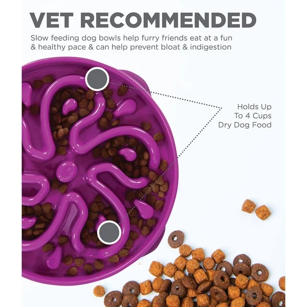 Outward Hound Fun Feeder Slo Bowl Anti Schling Flower Purple – Bild 3