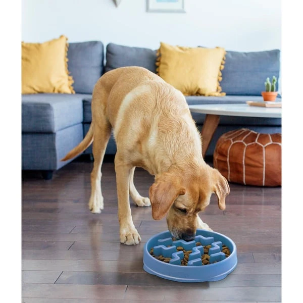 Outward Hound Fun Feeder Slo Bowl Anti Schling Notch Blue – Bild 8