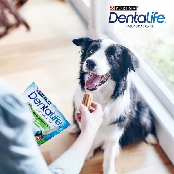 PURINA DENTALIFE Tägliche Zahnpflege-Snacks Für Mittelgroße Hunde – Bild 5