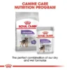 ROYAL CANIN STERILISED MINI 8kg + STERILISED Mousse 12x85g