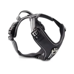 Wolters Geschirr Active Pro Schwarz