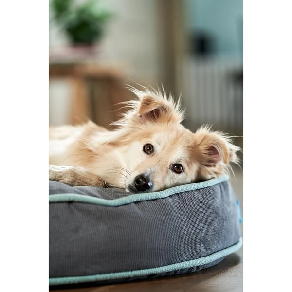 ZooRoyal Hundekissen Elias Anthrazit – Bild 13