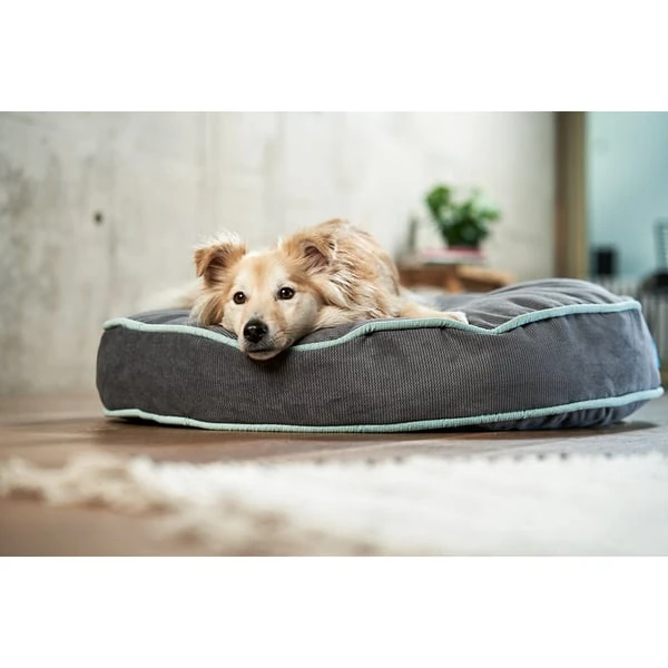 ZooRoyal Hundekissen Elias Anthrazit – Bild 14