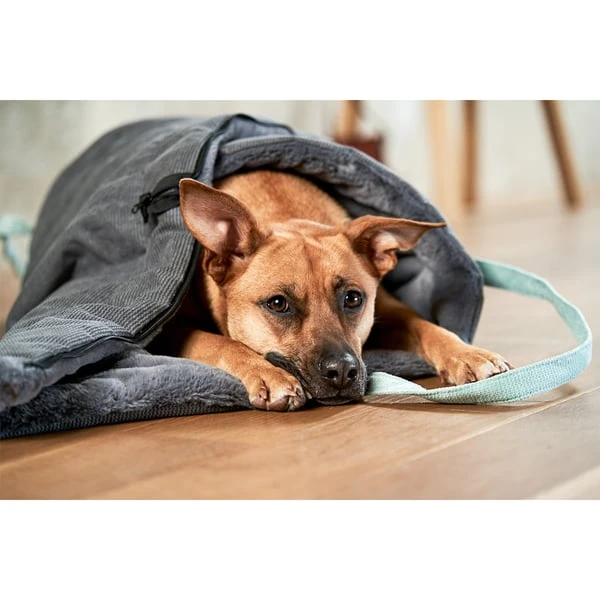 ZooRoyal Reisedecke Carl Anthrazit 120 X 85 Cm – Bild 14