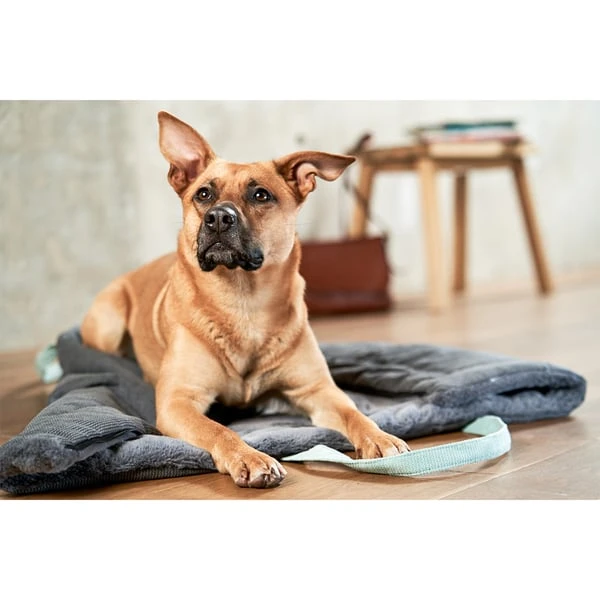 ZooRoyal Reisedecke Carl Anthrazit 120 X 85 Cm – Bild 15