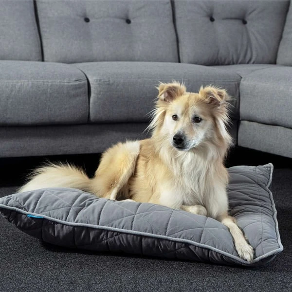 ZooRoyal Haustier Kuschelkissen Luna 75x60 Cm – Bild 4